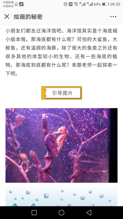 绘画的秘密