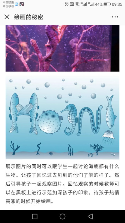 绘画的秘密