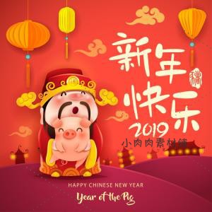 2019年新年元旦新春吉祥小猪财神爷猪年海报AI矢量设计素材ai407