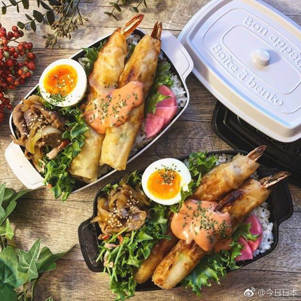 深夜放毒之日本主妇的便当 ​