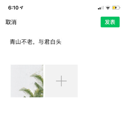 适合表白的古风句子