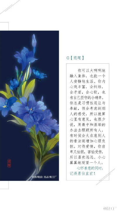 鸢尾