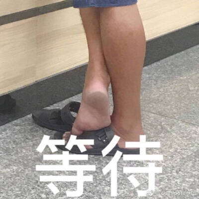 表情包