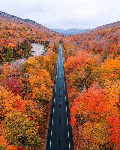 有些路看起来很近走去却很远的，缺少耐心永远走不到头。——沈从文