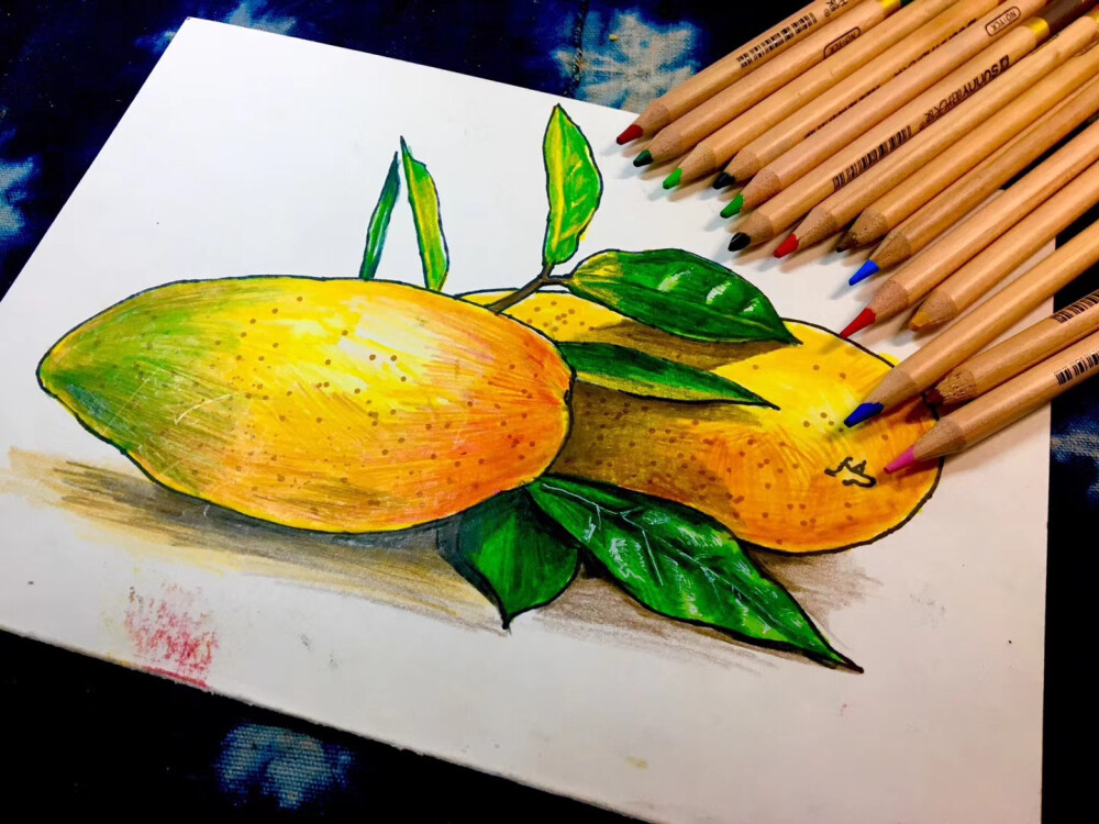 线描 儿童画 速写 静物 写生 芒果 水果 苹果 黄瓜 青椒 猕猴桃 香蕉 枇杷 葱 蔬菜 彩铅 水彩笔结合 重彩 小清新 