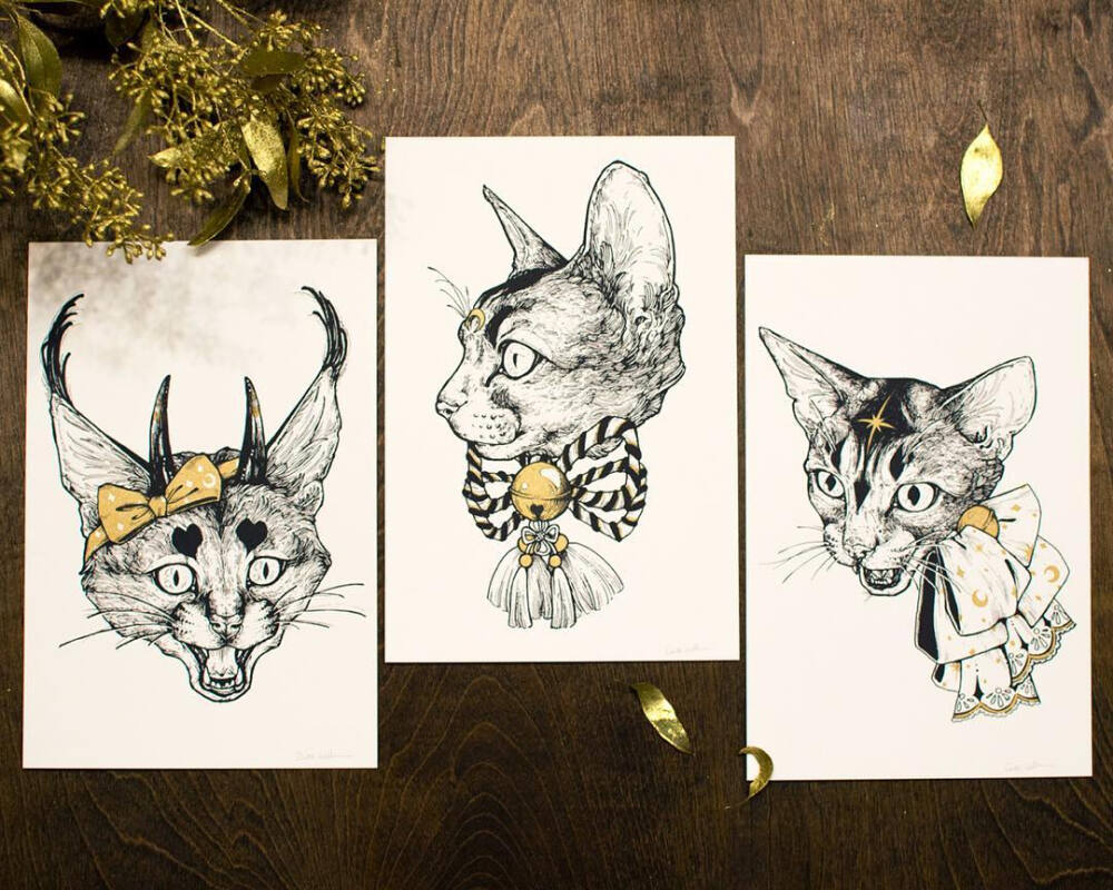 线描 动物绘画 插画 猫 黑白