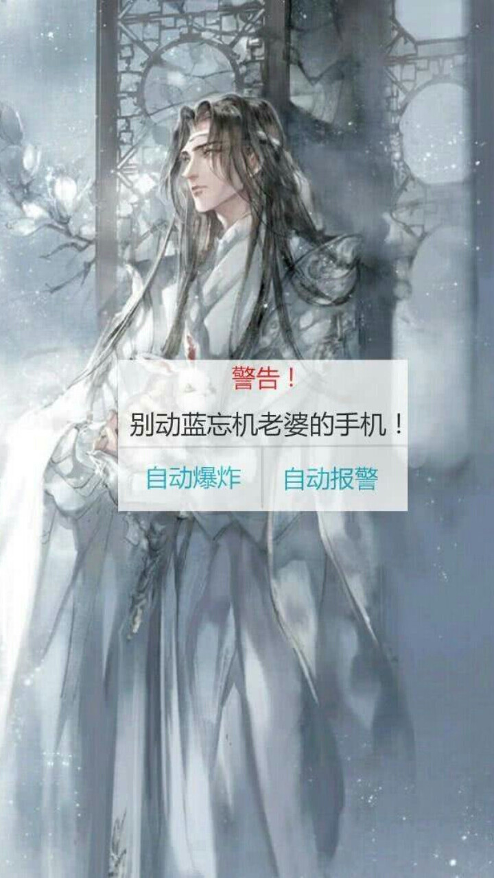 别碰我老婆的手机