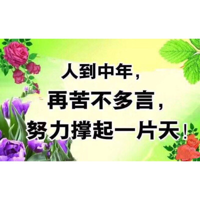 微博是我的沙雕快乐喷泉吗