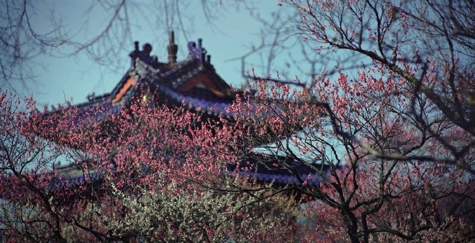 山溪绕寒城，林园眇荒隅。南枝小春梅，意似醉眼舒。—— 韩淲《梅雨》