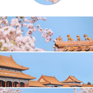故宫四季景 - 高清图片,堆糖,美图壁纸兴趣社区