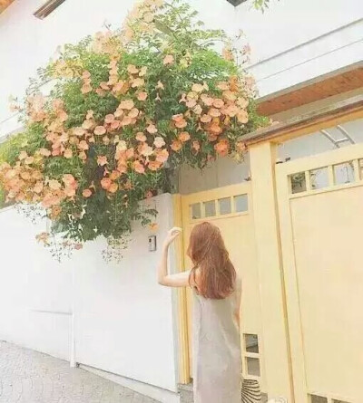 很喜欢的图片啦