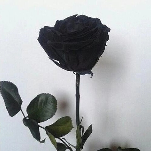 ❤