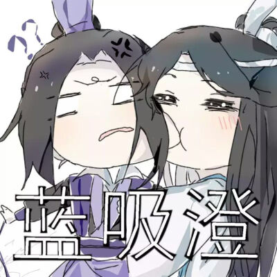 蓝曦臣