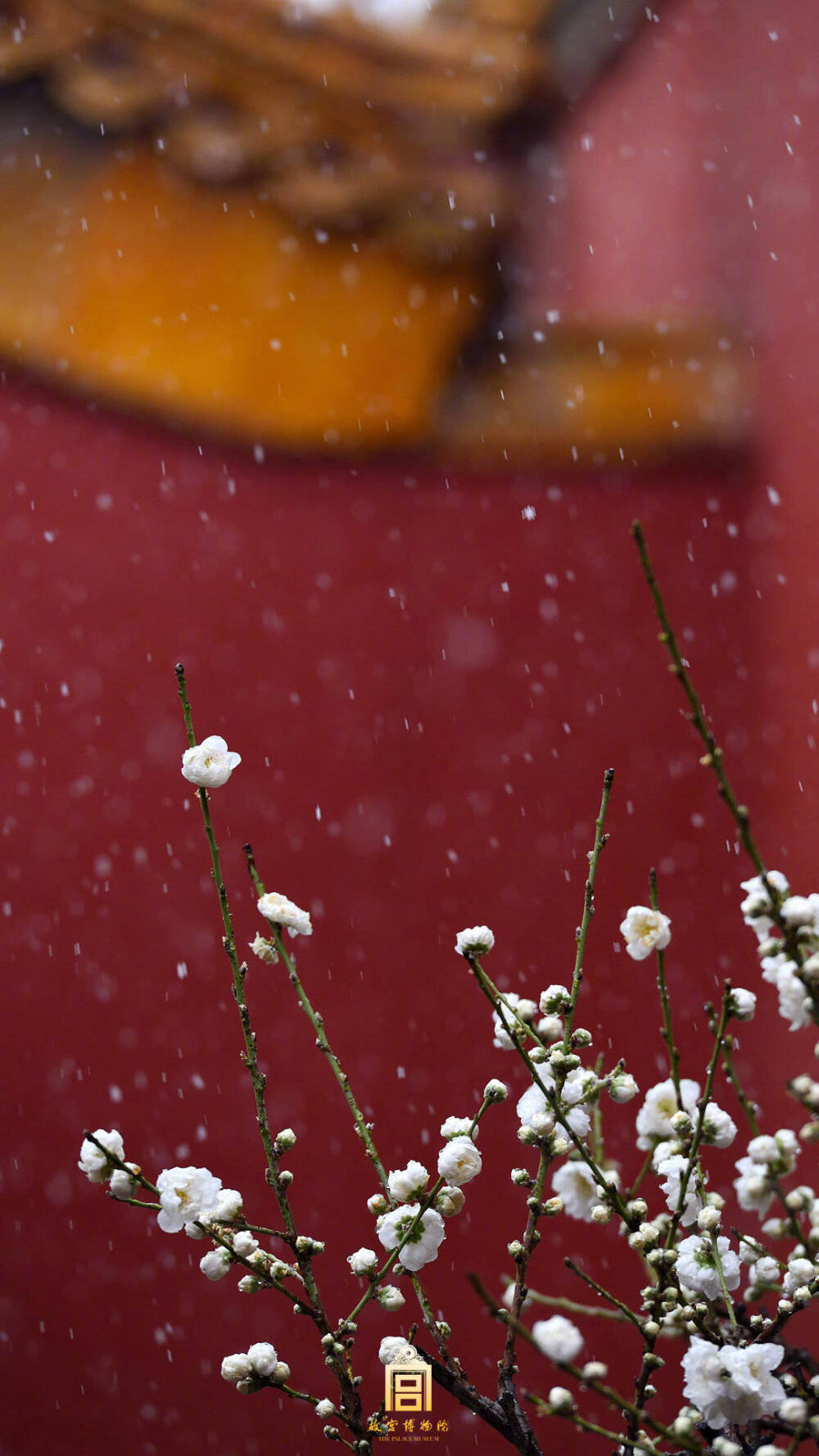 故宫的雪