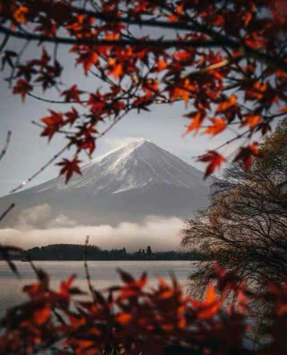 富士山 ふじさん