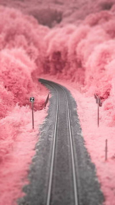 少女心 评论区可留下自己喜欢的壁纸