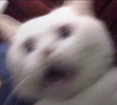 情头