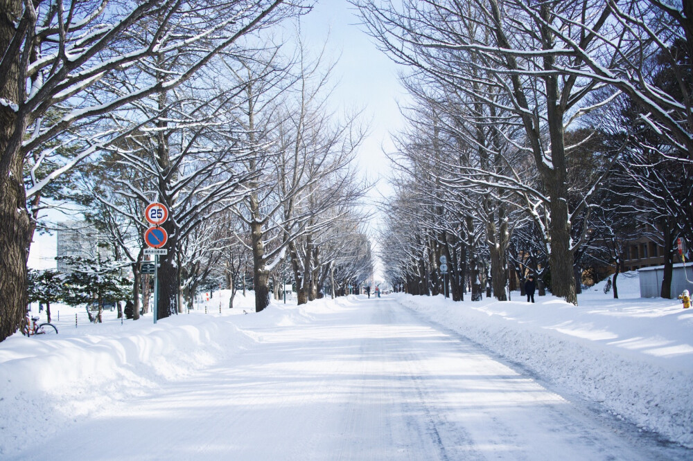 北海道大学