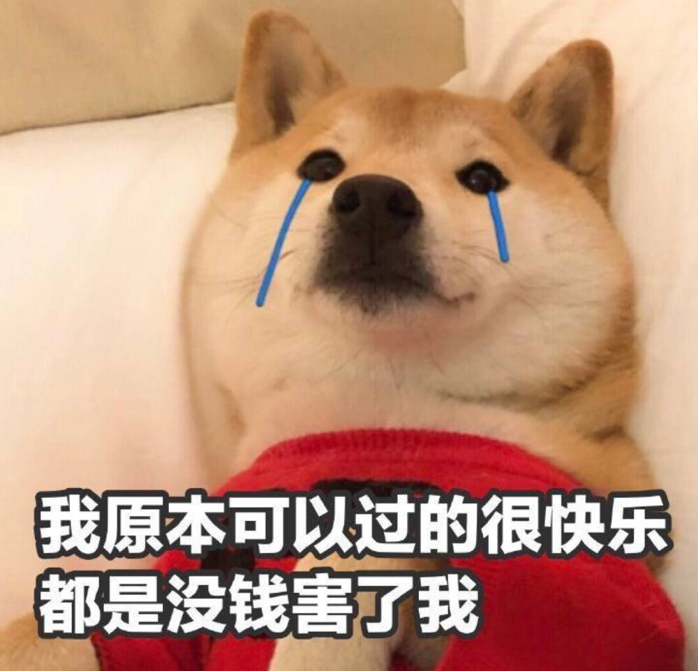 表情包