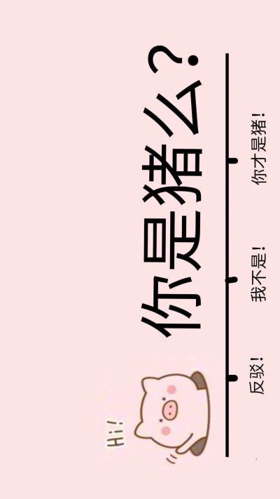 猪年壁纸.♡