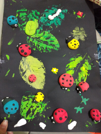 叶子叶子小瓢虫