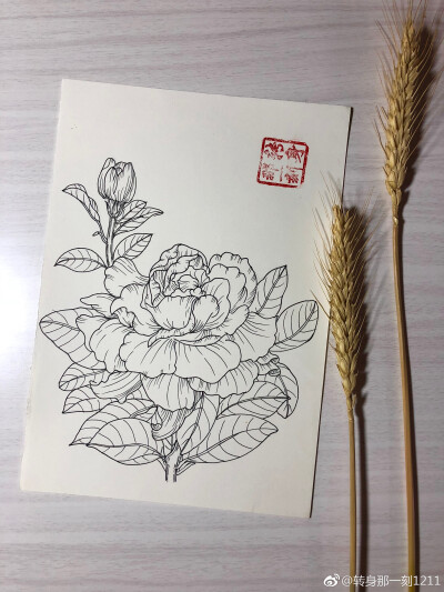 一个九格黑白花卉~ （作者： 转身那一刻1211 ）