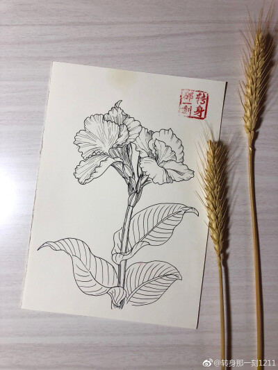 一个九格黑白花卉~ （作者： 转身那一刻1211 ）