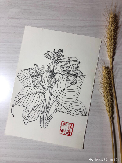 一个九格黑白花卉~ （作者： 转身那一刻1211 ）