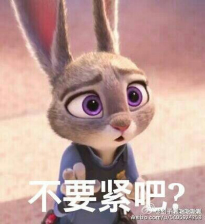 Judy Hopps