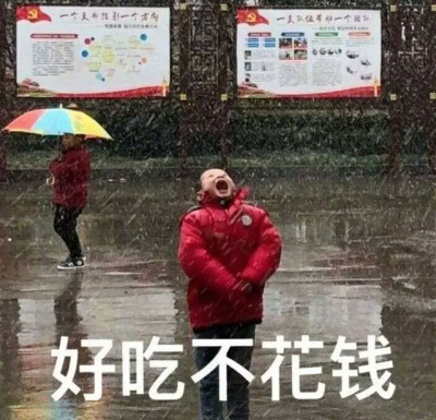 肥宅快乐图