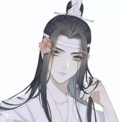 魔道祖师表情包 (含天赐 渣反 杀破狼)