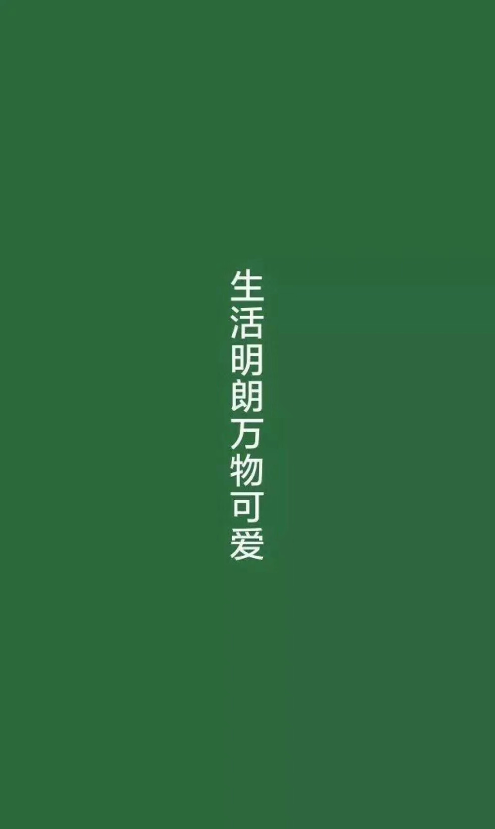 生活明朗 万物可爱
#是壁纸鸭