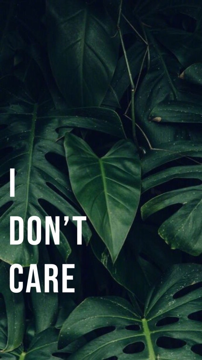 I don't care