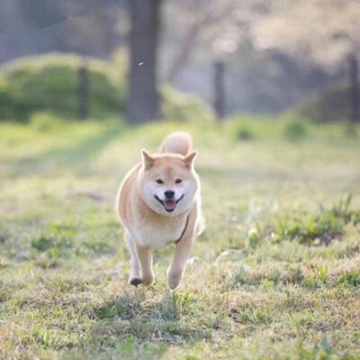 卡通頭像