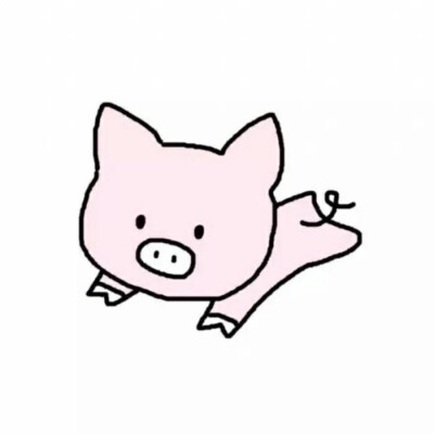 猪猪可爱。