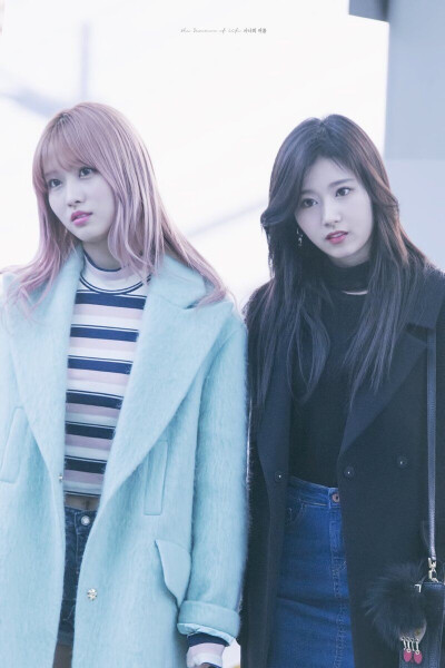 Twice momo平井桃 sana凑崎纱夏