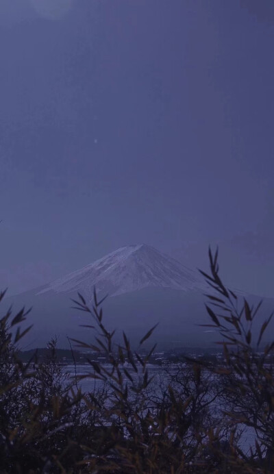 今日壁纸