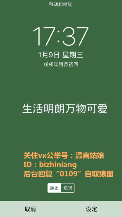 “忘了他，生活明朗，万物可爱。”一组“原谅绿”系列壁纸，点开图九抱走猿图