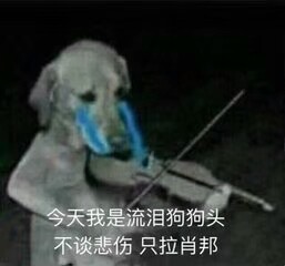 沙雕表情包