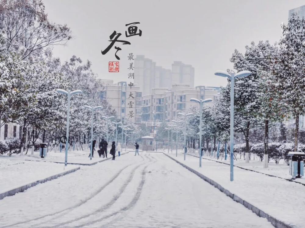 湖中大雪景