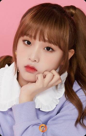 IZ*ONE 张元英 宫脇咲良 曹柔理 崔艺娜 安宥真 矢吹奈子 权恩菲 姜惠元 本田仁美 金彩元 金珉周 李彩燕