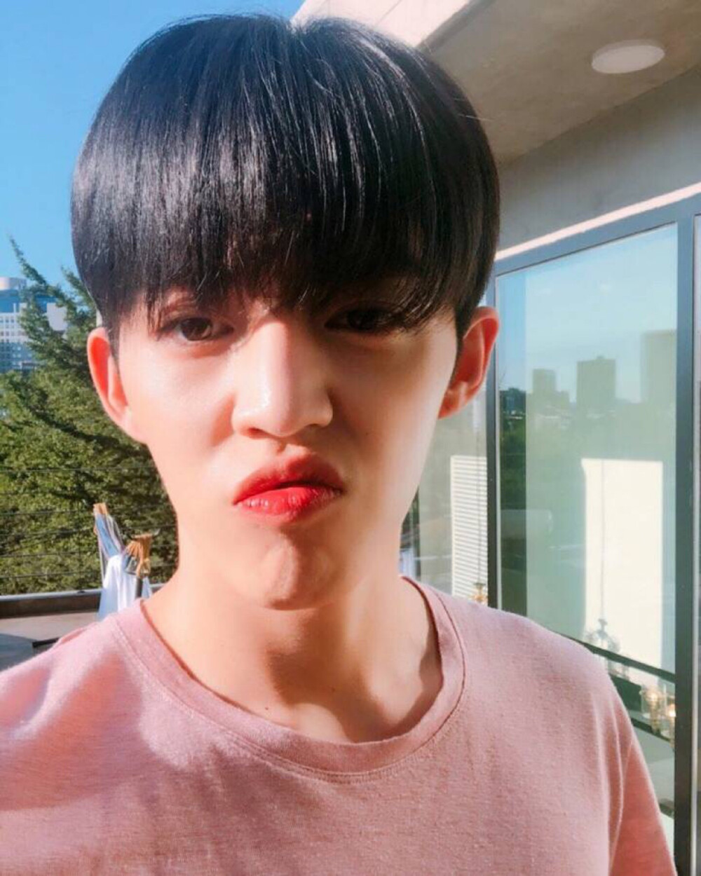 Seventeen S.coups 崔勝澈