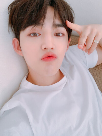 Seventeen S.coups 崔勝澈