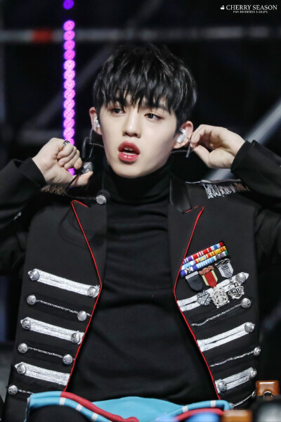 Seventeen S.coups 崔勝澈