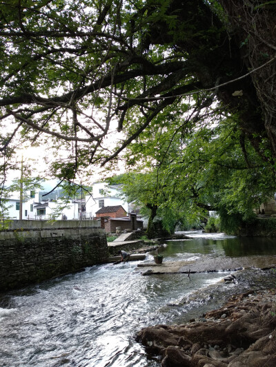 写生 婺源