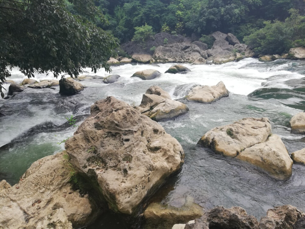 那山那水在贵州
