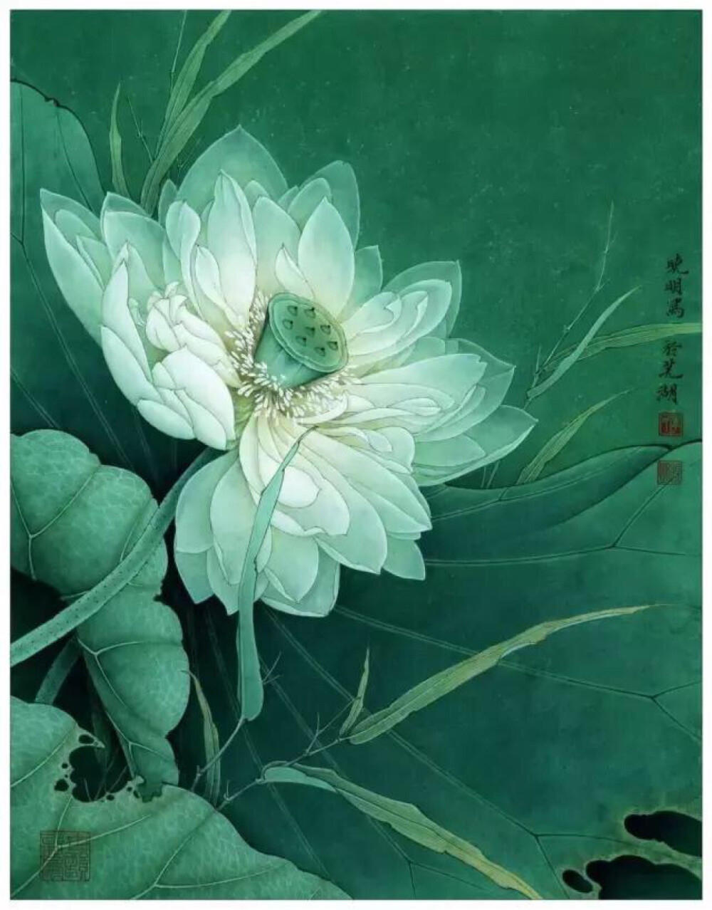 李晓明牡丹