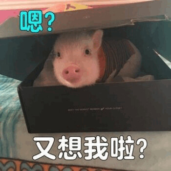 嗯？
你又想我啦？