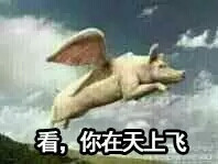 看，你在天上飞