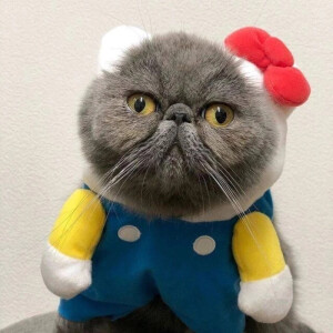 我真的真的真的真的真的好喜欢你呀~